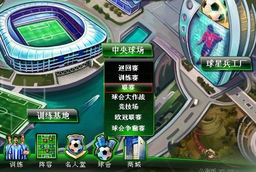 国国家队的